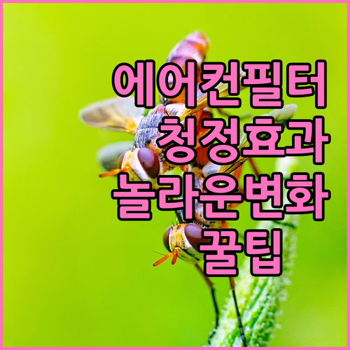 에어컨 필터 관리: 깨끗한 공기가 가져다주는 놀라운 변화