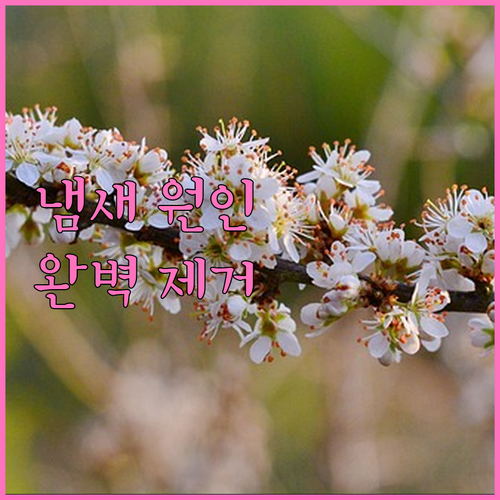 에어컨 냄새 원인부터 완벽 제거 방법까지 한 번에!