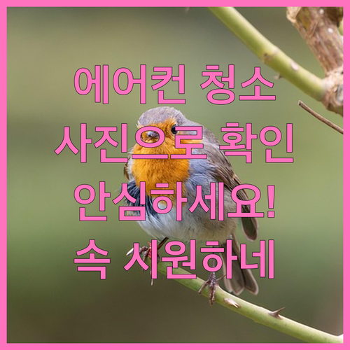 에어컨 청소, 사진으로 확인하고 안심하세요!