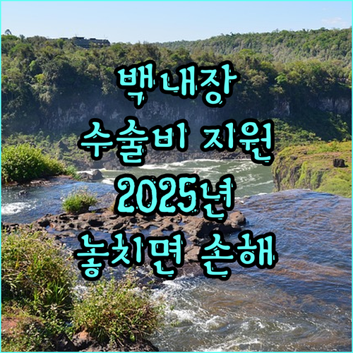 제주도민 필독 2025 백내장 수술비 지원, 놓치면 손해!