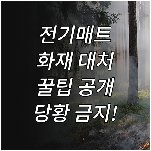 전기매트 화재? 당황하지 말고, 이렇게 대처하세요!
