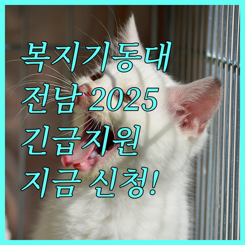 2025 전라남도 우리동네 복지기동대: 긴급 지원, 지금 바로 신청하세요