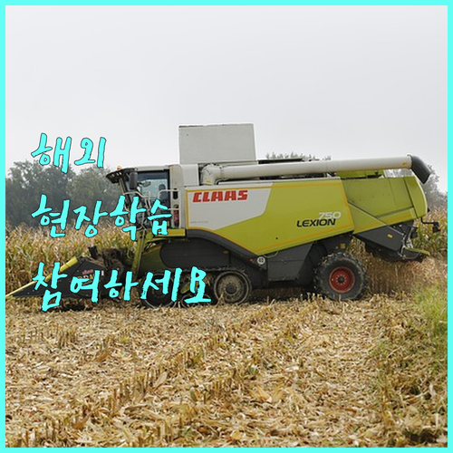 2025 글로벌 인재 꿈을 이루는 해외 현장학습 프로그램 참여하세요