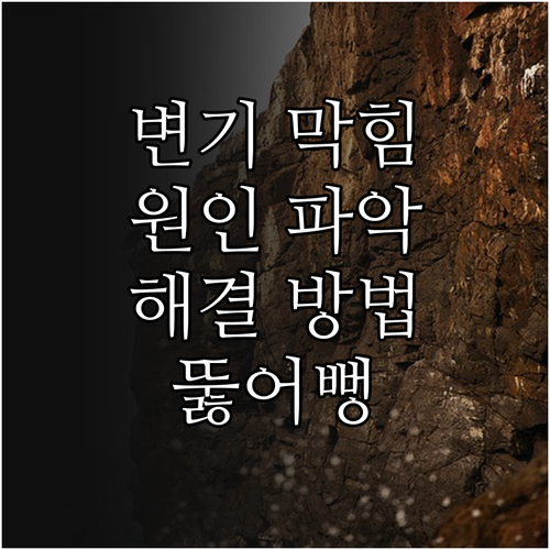 화장실 변기 막힘, 원인 파악 및 해결 방법