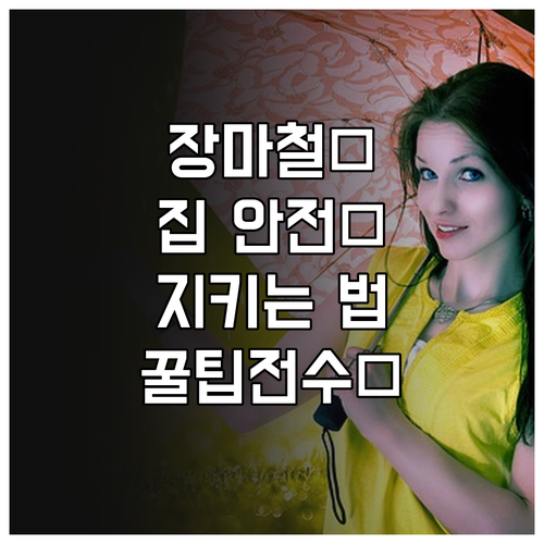 빗물, 해충, 습기 공격! 장마철 집 안전 지키는 방법