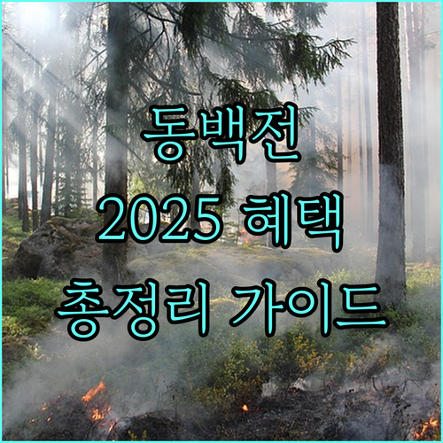 2025 부산 동백전 총정리 혜택, 신청, 사용법 완벽 가이드