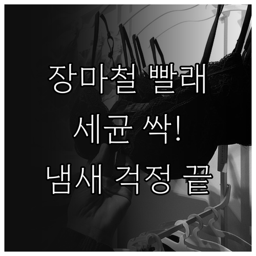 장마철 빨래, 냄새 걱정 끝! 세균 잡는 세탁과 건조 방법