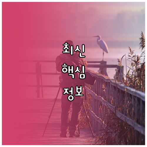 지갑 없는 생활 모바일 신분증으로 지금 시작하세요
