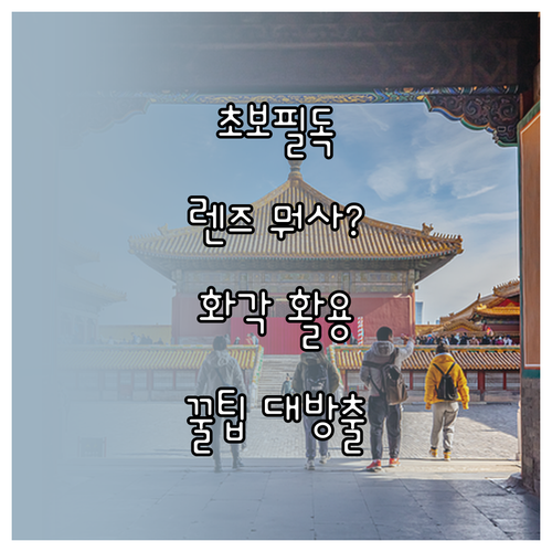 줌? 단렌즈?: 초보자를 위한 렌즈 선택 및 화각 활용법