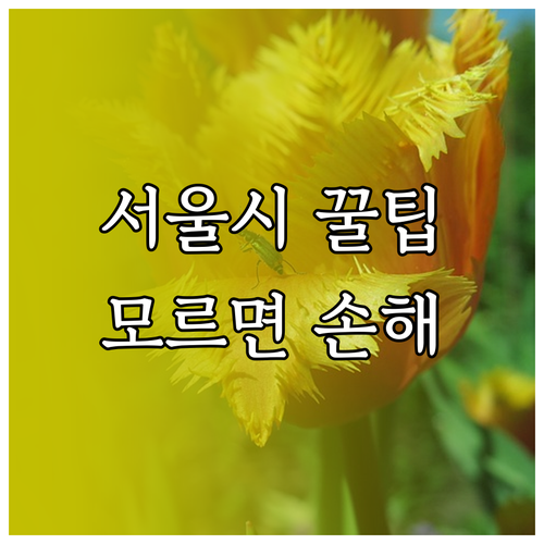 서울시 할인 혜택: 몰라서 손해 보는 교통, 문화, 복지 지원금