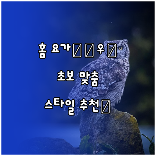 나만을 위한 홈 요가: 초보자를 위한 스타일별 추천 및 준비물 완벽 가이드