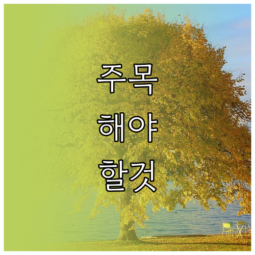 손목에서 심장 리듬을 감시 애플워치 ECG 활용 노하우