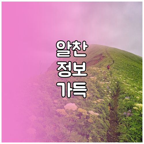 병원 선택부터 예약까지! 건강검진 온라인 완벽 활용