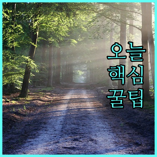 2025 부산 고등학생 석식비 지원 자격 신청 방법