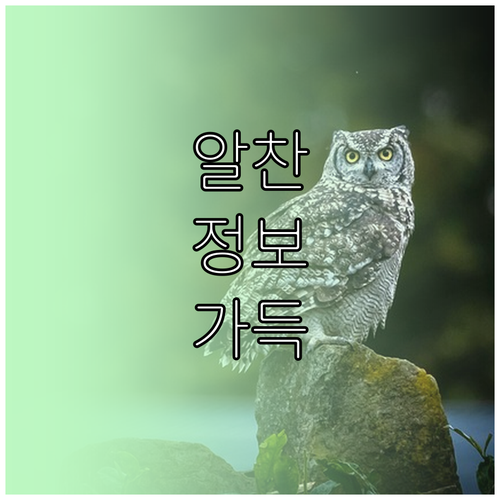 강남 헬스장 등록, 당신만 모르는 숨은 꿀팁