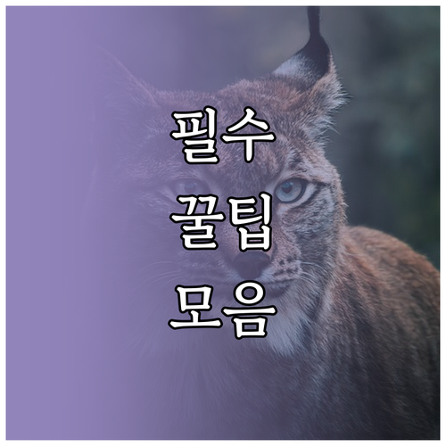 내 차에 맞는 타이어 공기압, 운전석 스티커가 정답