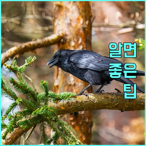 신청 없는 2025 동래구 국가유공자 지원 혜택 총정리