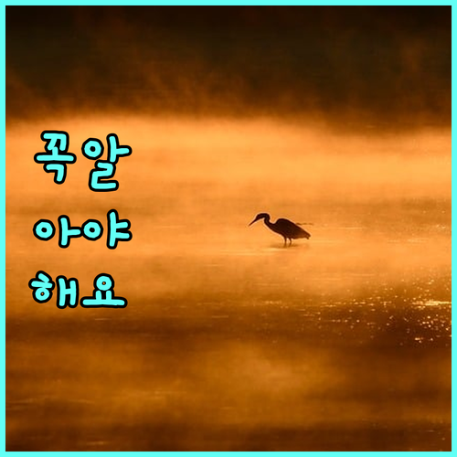 2025 고흥군 청년 농부 지원 사업 농지 임차료 지원으로 영농 기반 마련