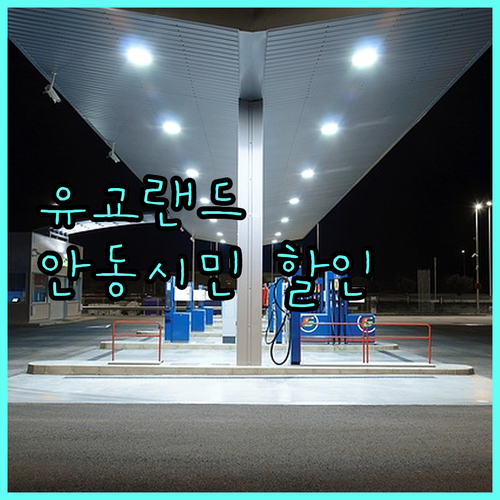 유교랜드 2025 안동시민 특별 할인 혜택: 놓치면 손해