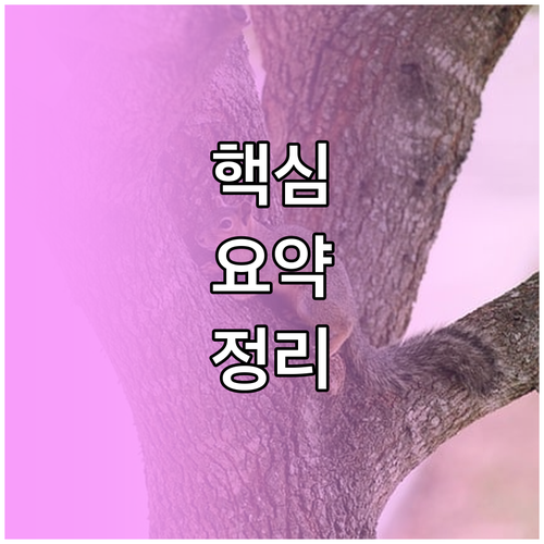 인천공항 주차 요금 할인 자동 적용부터 신청까지
