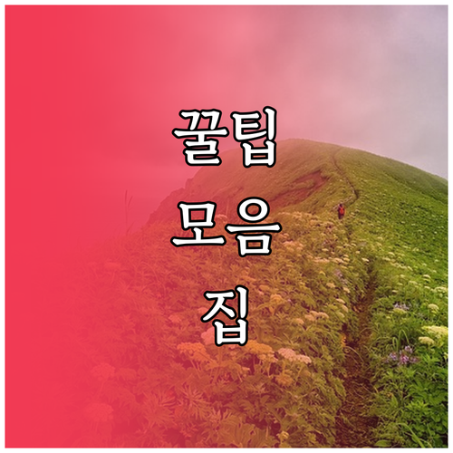네이버 지도 전기차 충전소 실시간 현황 맞춤 필터 활용