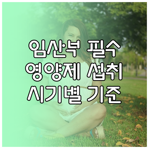 임산부 필수 영양제: 시기별 섭취법 & 똑똑한 선택 기준