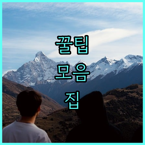 2025 서초구 자립 청년 월 30만원 지원 홀로서기 시작