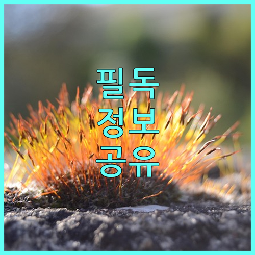 동작구 공영 주차장 2025 감면 혜택 놓치지 마세요