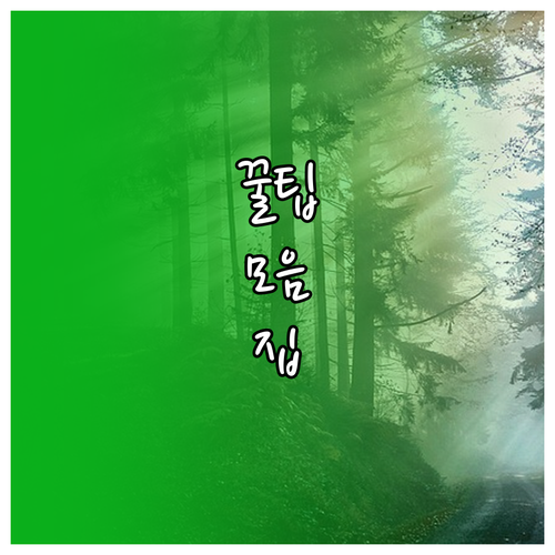 줌 녹화 파일 종류별 완벽 이해: 효율적인 재활용 전략
