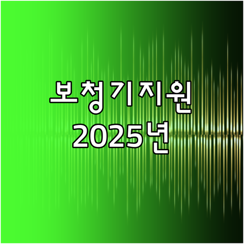 2025년 보청기 정부 지원: 자격 조건, 금액, 신청 절차 완벽 정리