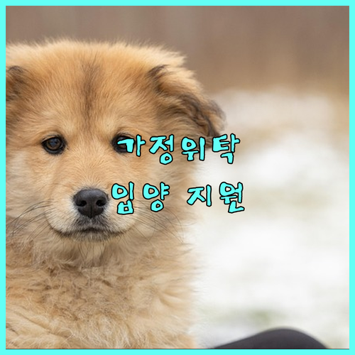 종로구 거주자를 위한 2025 가정위탁·입양 지원 A to Z