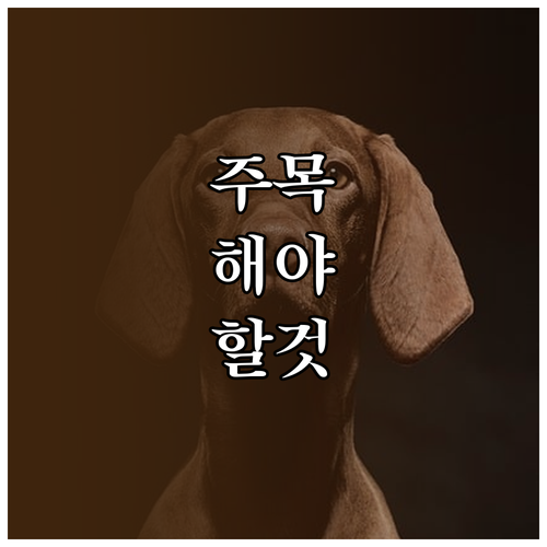 LG 예약 세탁의 모든 것: 시간 관리와 알뜰 세탁 비법