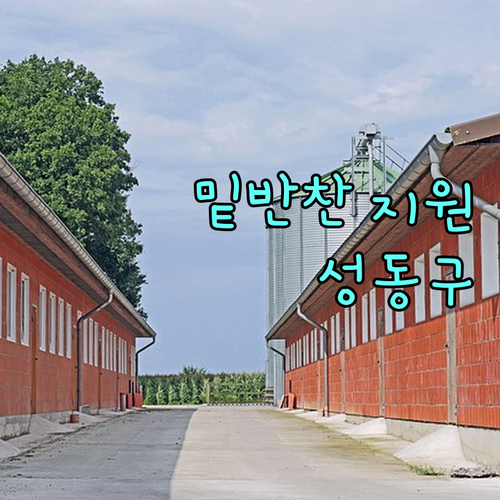 2025 성동구 저소득 중증 재가장애인 밑반찬 지원: 신청 자격 및 방법 완벽 안내