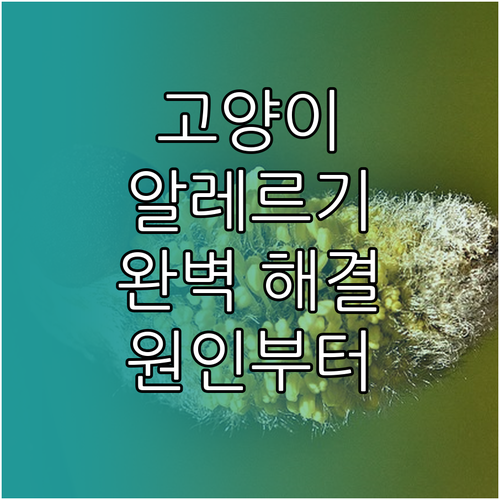 고양이 알레르기 완전 정복: 원인부터 해결까지
