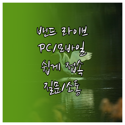 밴드 라이브 수업, PC 모바일 접속부터 소통까지