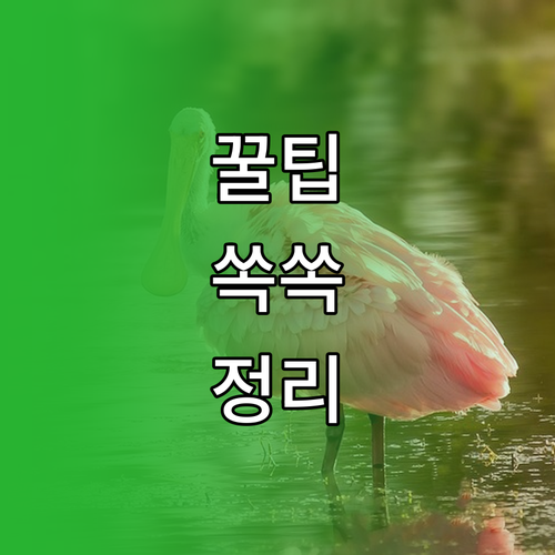 내 삼성 전자레인지 시계 설정 이렇게 쉬웠어