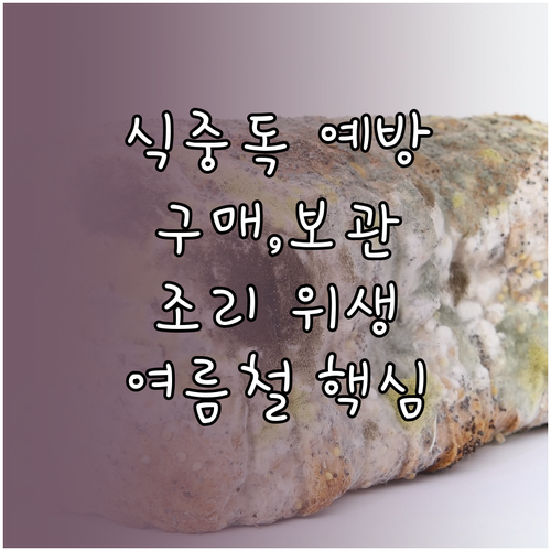 여름철 식중독 예방법: 식재료 구매, 보관, 조리 위생 관리 핵심 가이드