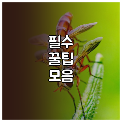 티머니 카드 분실 즉시 잔액 보호 신고 방법