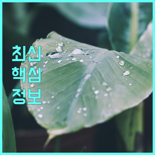 2025 거제시 반려동물 등록 활성화 동물병원 대상 대행 수수료 지원