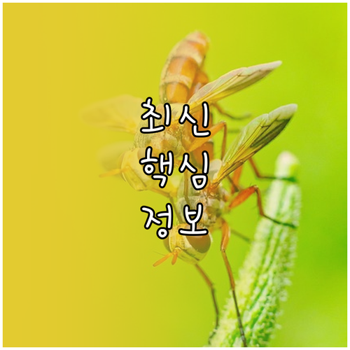 삼성 에어컨 리모컨 오작동 초기화 해결책