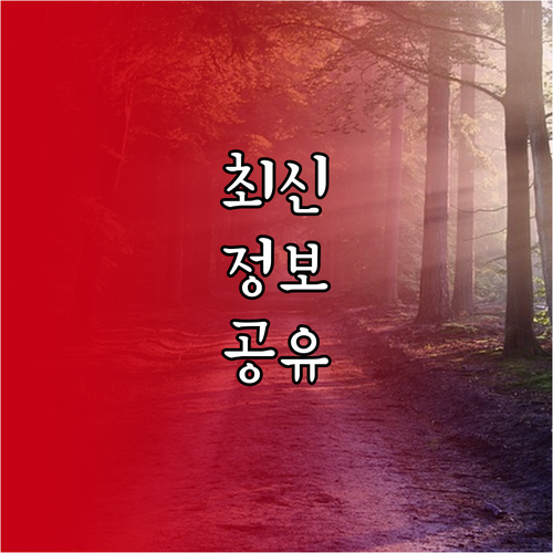 내 네이버페이 머니, 은행 계좌로 초간단 현금 인출 절차
