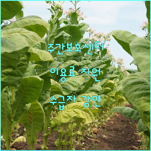 장애인주간보호센터 이용료 지원 2025, 국민기초생활수급자 감면 혜택