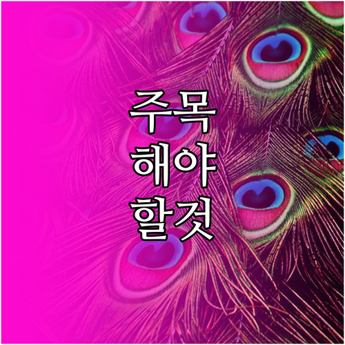 내비게이션 지도 관리, USB와 OTA 중 나에게 맞는 선택은?