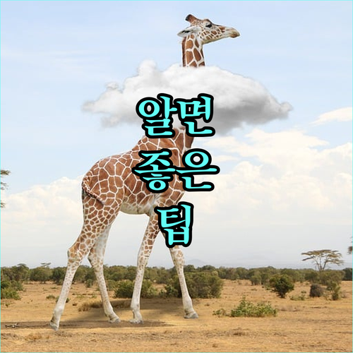 강남구 2025 저소득 노인 건강보험료 지원: 신청 불필요, 자동 지원으로 편리하게