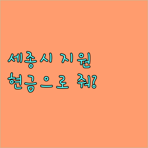 세종시 현장체험학습비 지원 2025: 학년별 금액, 신청 없이 현금으로