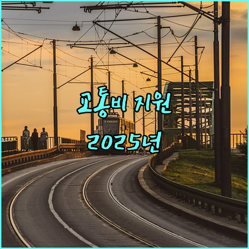 삼척시 중증장애인 교통 지원 2025년 혜택 총정리 자격 요건, 신청 방법 완벽 가이드