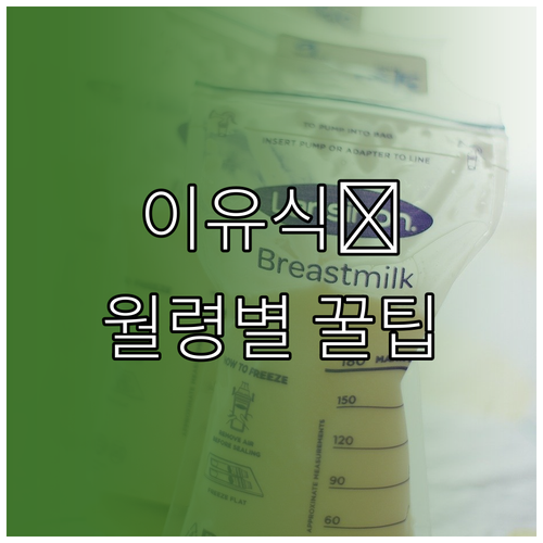 아기 이유식, 월령별 맞춤 재료 선택과 알레르기 관리법