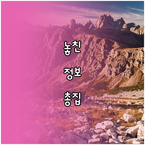 내 삼성 패스 비밀번호, 안전하게 찾고 관리하는 법