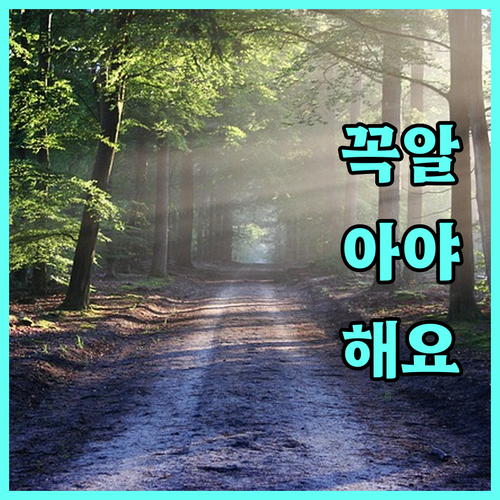 보은군 출산 선물 2025: 놓치면 손해! 신청 자격부터 방법까지