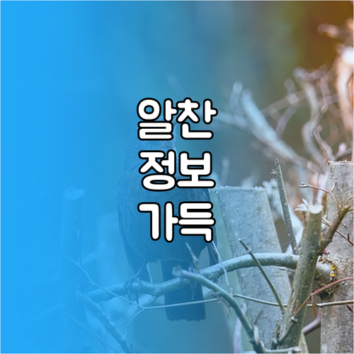 아파트 전세 계약 핵심 체크리스트: 보증금 보호 3단계